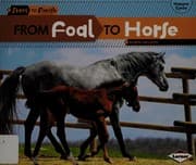 Tapa de From foal to horse