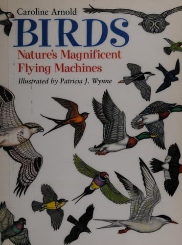Tapa de Birds