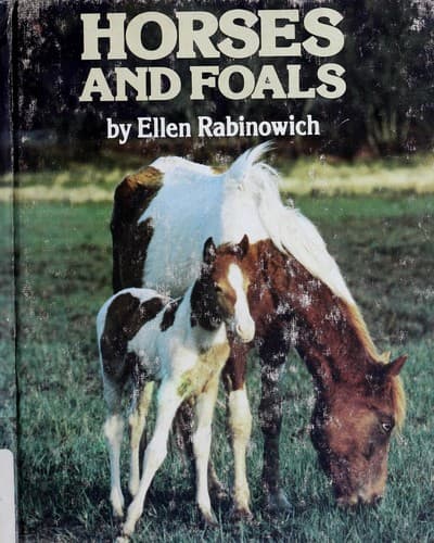 Tapa de Horses and foals