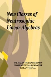 Tapa de New classes of neutrosophic linear algebras