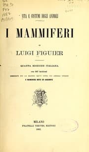 Tapa de Vita e costumi degli animali