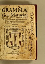 Tapa de Grammatica Maturini tractatus omnium ferè qu[a]e grammatices studiosis tradi sole[n]t