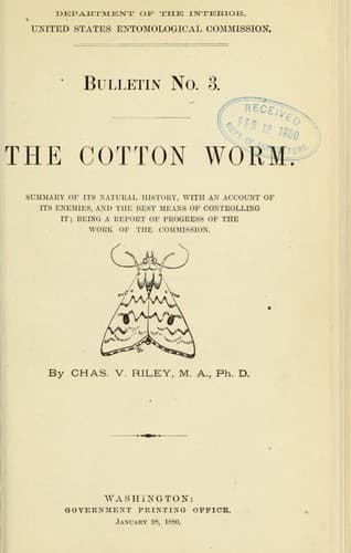 Tapa de The cotton worm