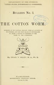 Tapa de The cotton worm