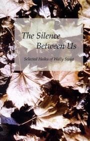 Tapa de The Silence Between Us