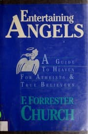 Tapa de Entertaining angels