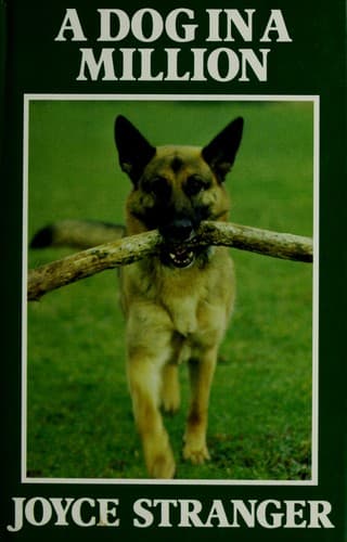 Tapa de A Dog in a Million