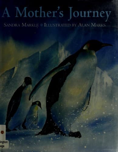 Tapa de A Mother's Journey
