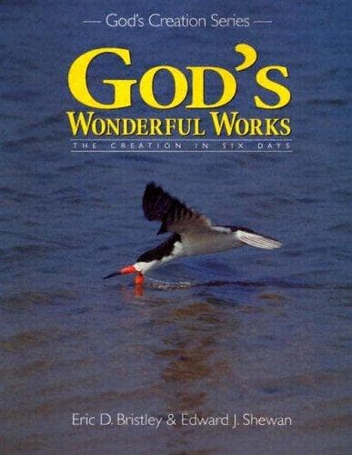Tapa de Gods Wonderful Works