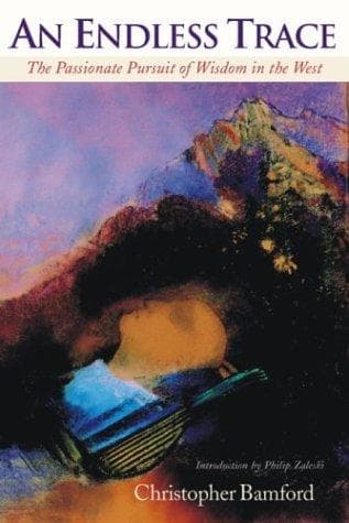 Tapa de An Endless Trace