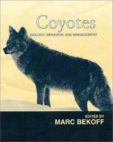 Tapa de Coyotes