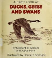 Tapa de A first look at ducks, geese, and swans