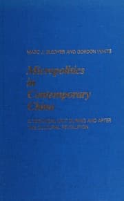 Tapa de Micropolitics in contemporary China