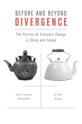 Tapa de Before and beyond divergence