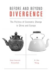 Tapa de Before and beyond divergence