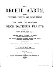 Tapa de Orchid album