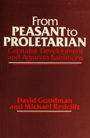Tapa de From peasant to proletarian