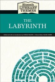 Tapa de The labyrinth