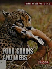 Tapa de Food chains and webs
