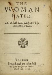Tapa de The woman hater