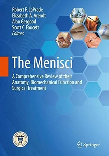 Tapa de The Menisci