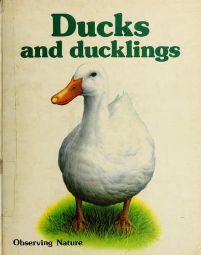Tapa de Ducks and Ducklings (Observing Nature)