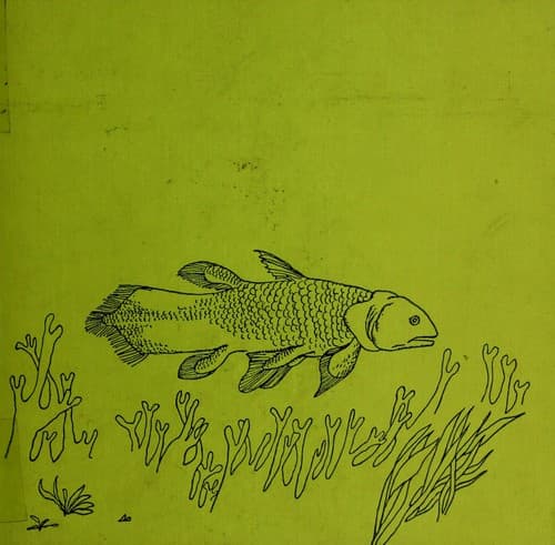 Tapa de The long lost coelacanth