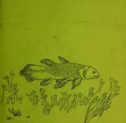 Tapa de The long lost coelacanth