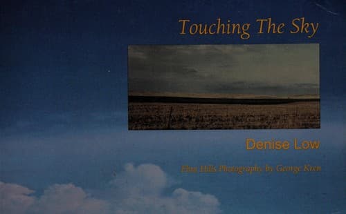 Tapa de Touching the sky