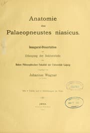 Tapa de Anatomie des Palaeopneustes niasicus