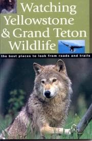 Tapa de 'watching Yellowstone And Grand Teton Wildlife