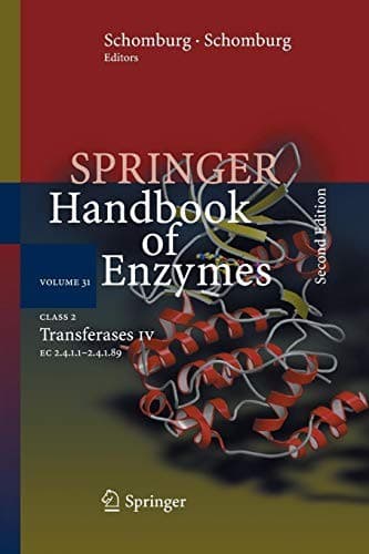 Tapa de Class 2 Transferases IV