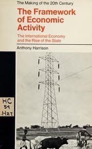 Tapa de The framework of economic activity