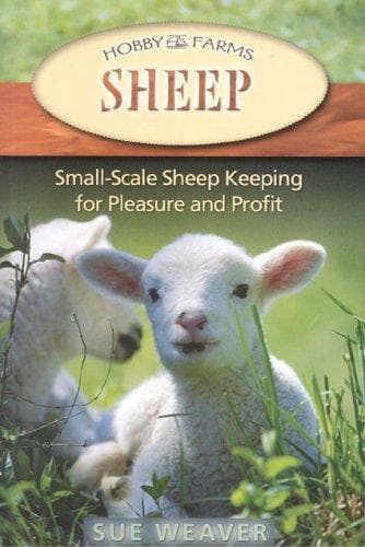 Tapa de Sheep