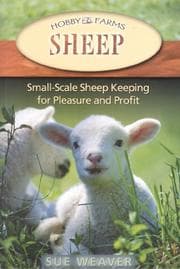 Tapa de Sheep