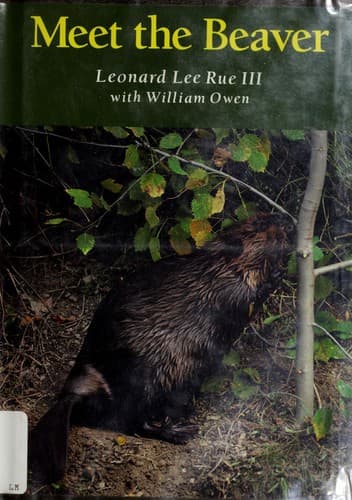 Tapa de Meet the beaver