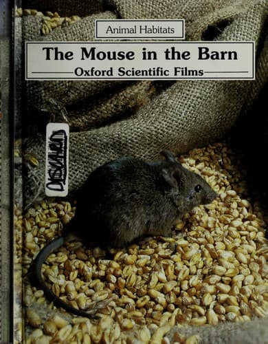 Tapa de The mouse in the barn