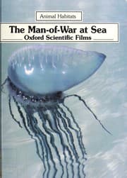 Tapa de The man-of-war at sea