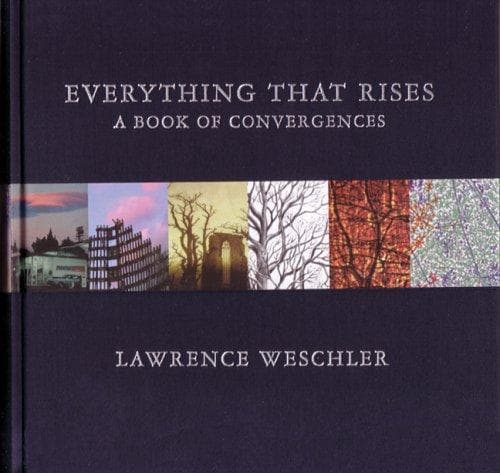Tapa de Everything That Rises