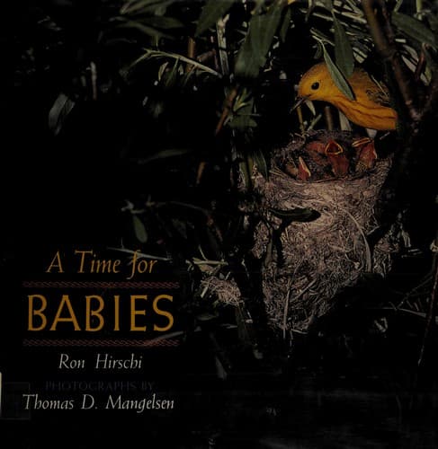 Tapa de A time for babies