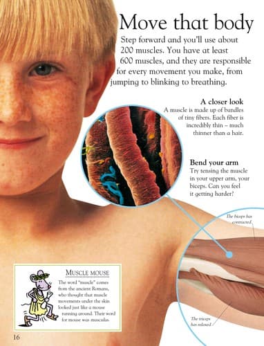 Tapa de Human body