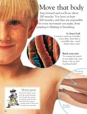 Tapa de Human body