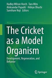 Tapa de The Cricket as a Model Organism