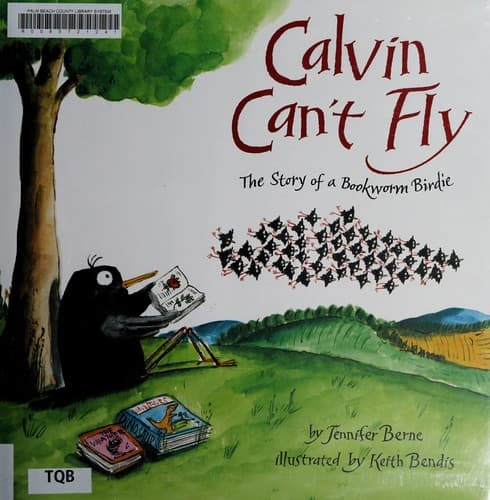 Tapa de Calvin can't fly