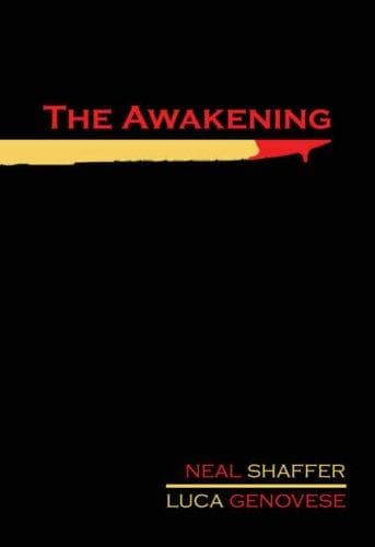 Tapa de The awakening