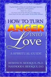 Tapa de How to Turn Anger into Love