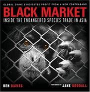 Tapa de Black Market