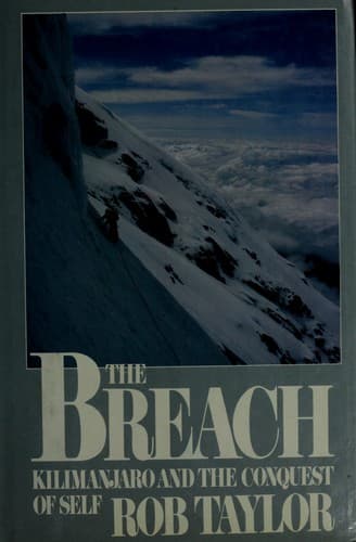 Tapa de The Breach