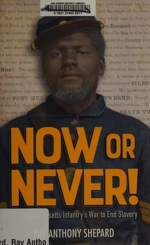 Tapa de Now or never!