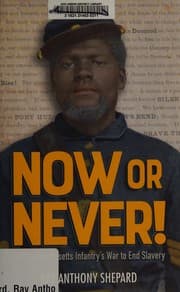 Tapa de Now or never!